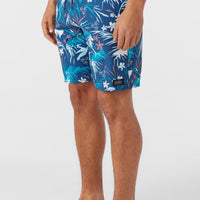 CRUZER 19 BOARDSHORT