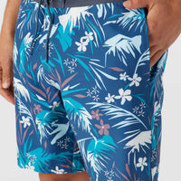 CRUZER 19 BOARDSHORT