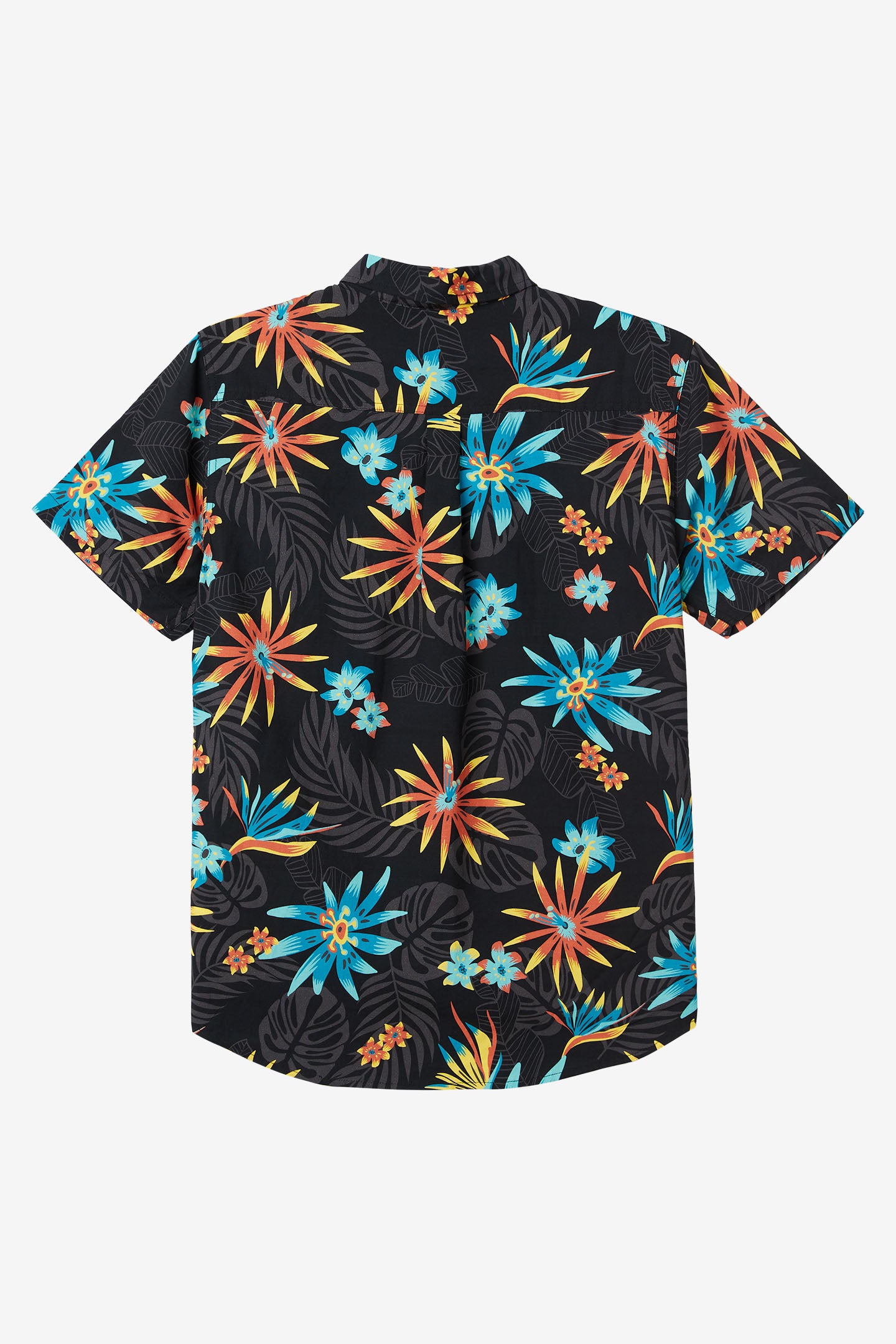 OASIS ECO WOVEN