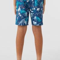 CRUZER 16'' BOARDSHORT