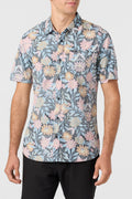 OASIS ECO TOP