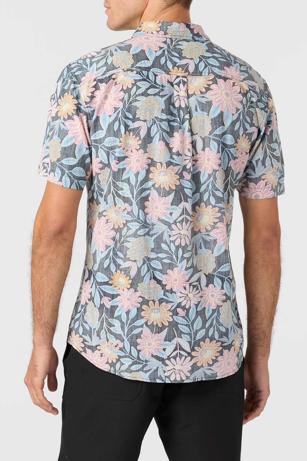 OASIS ECO TOP