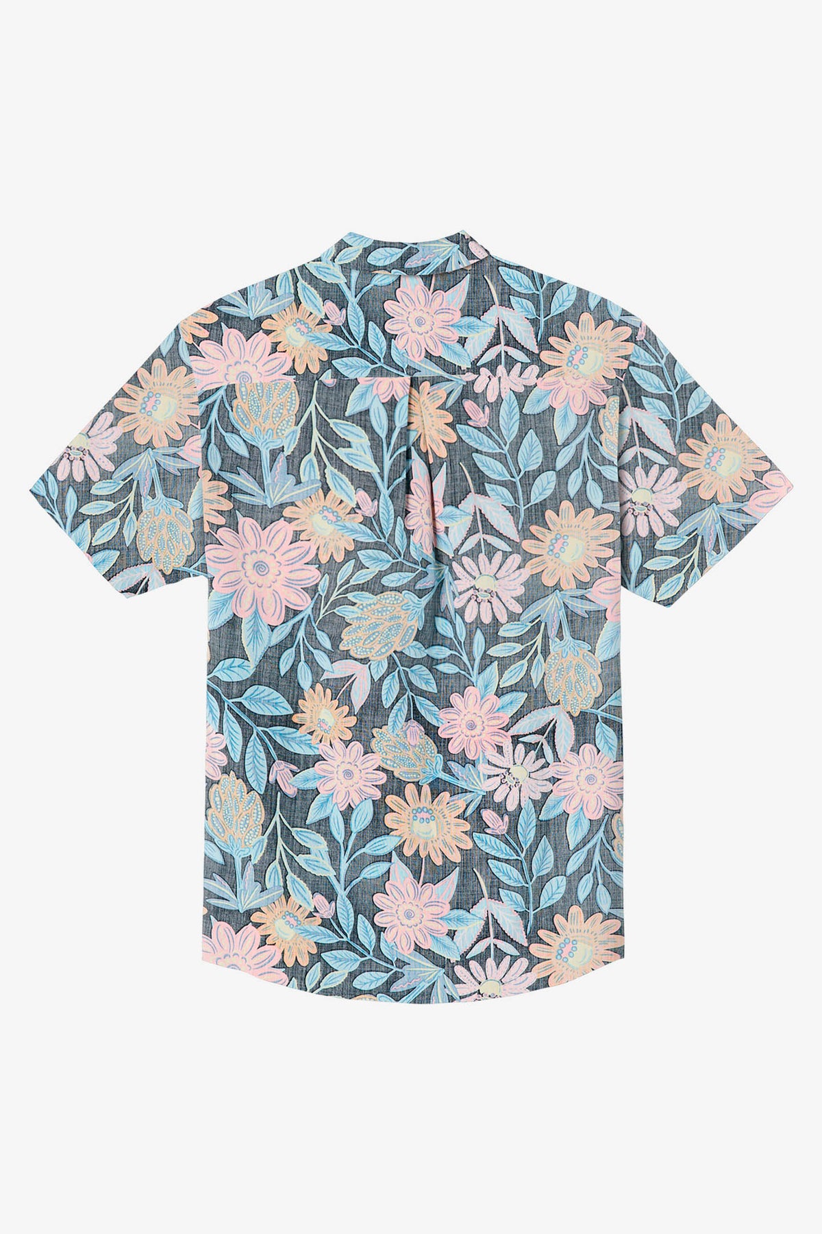 OASIS ECO TOP