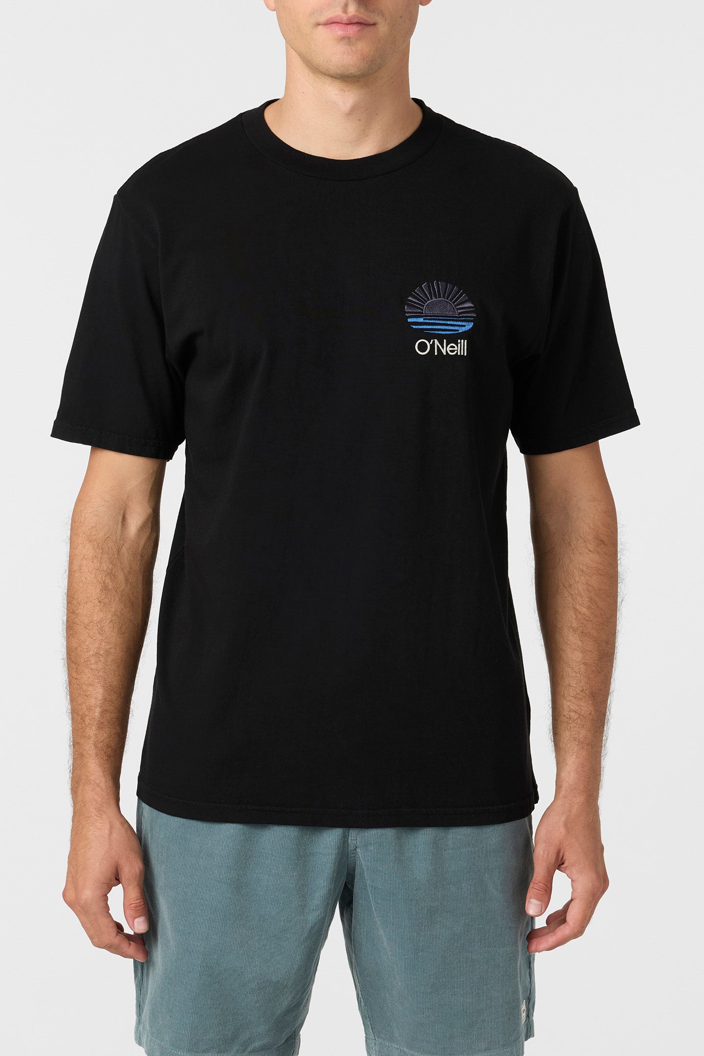 OG ELEMENT TEE