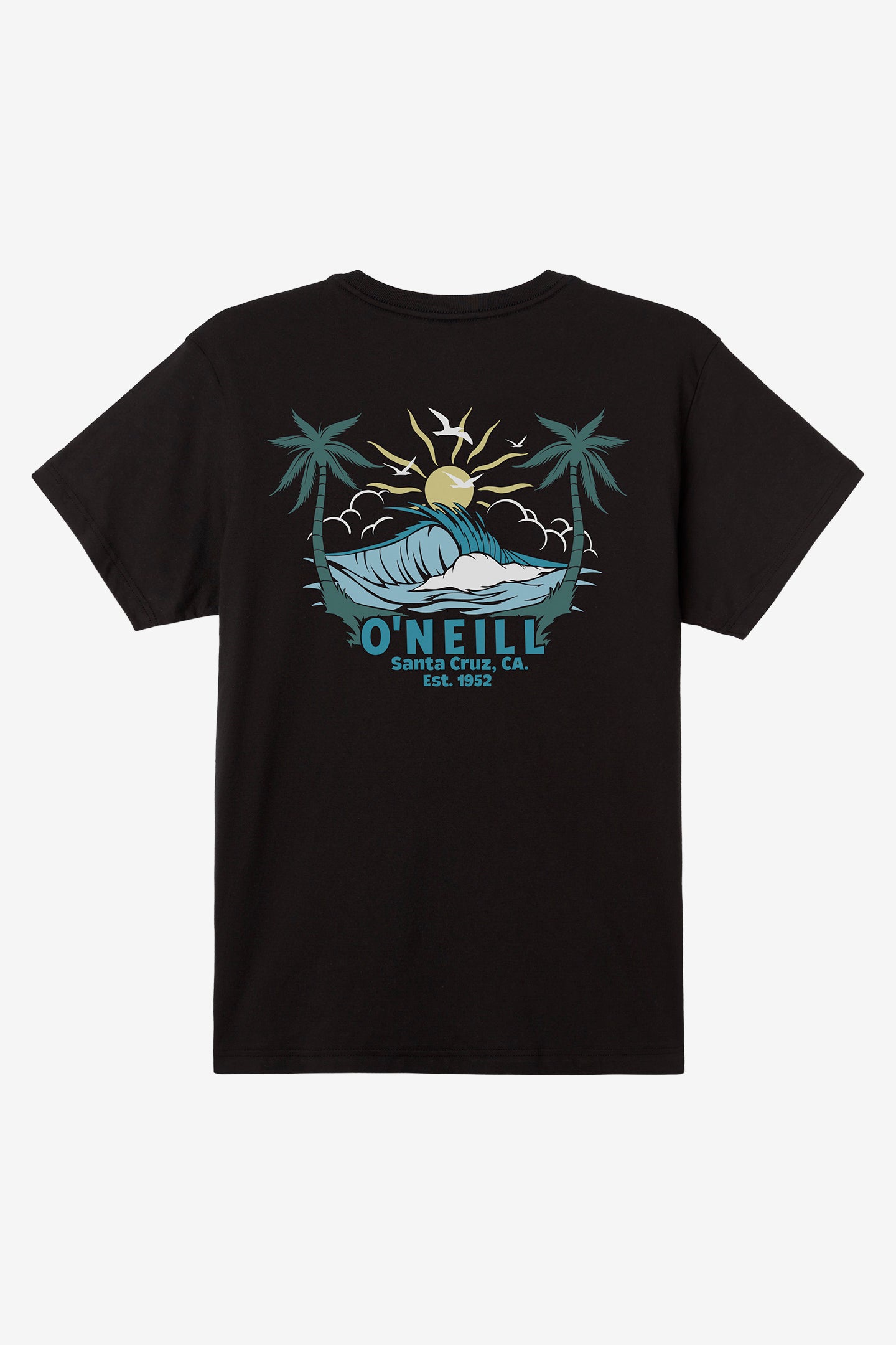 CARVER TEE