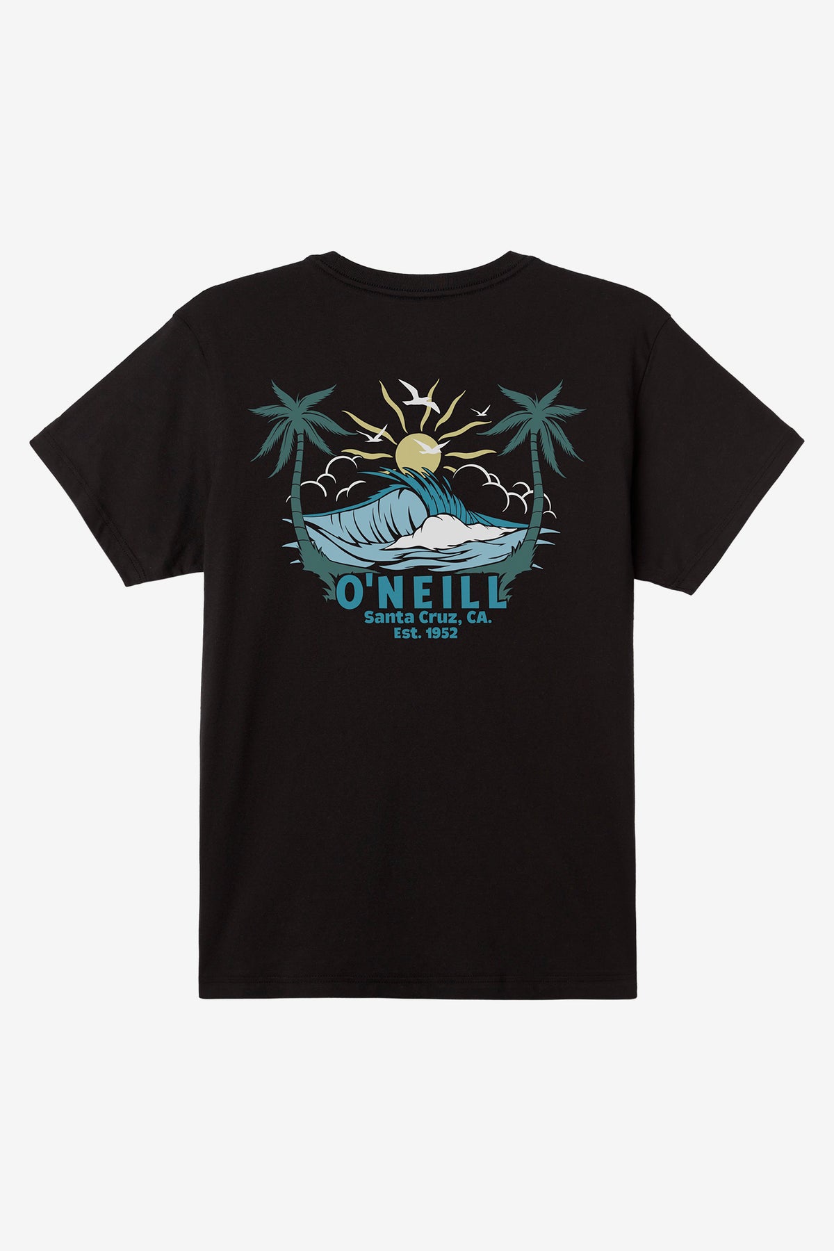 CARVER TEE