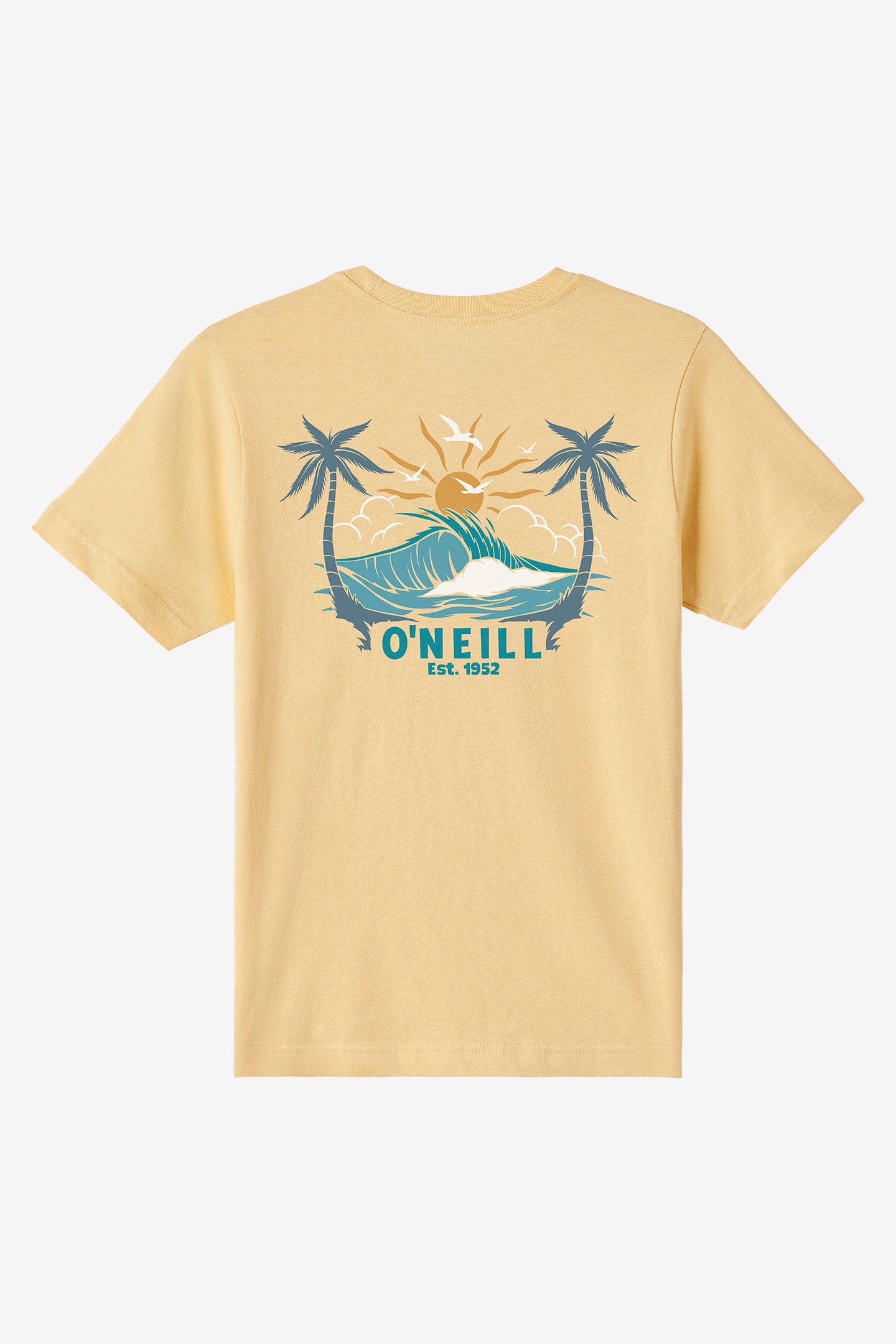 CARVER TEE