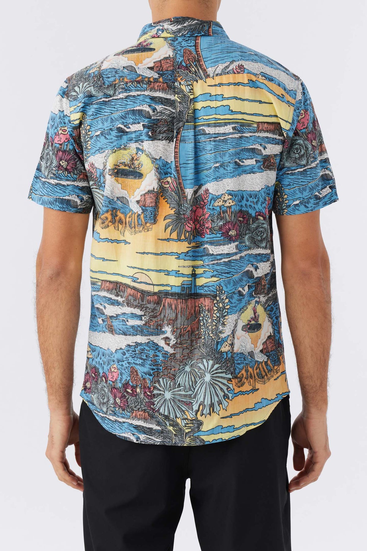 ARTIST SERIES OASIS ECO WOVEN