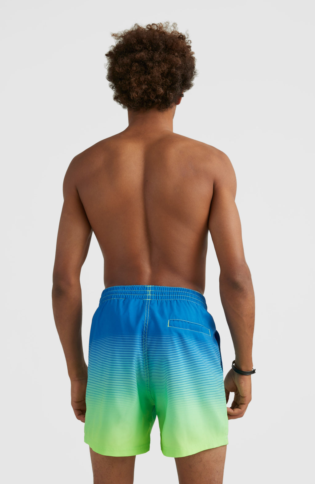 CALI GRADIENT 15'' VOLLEY
