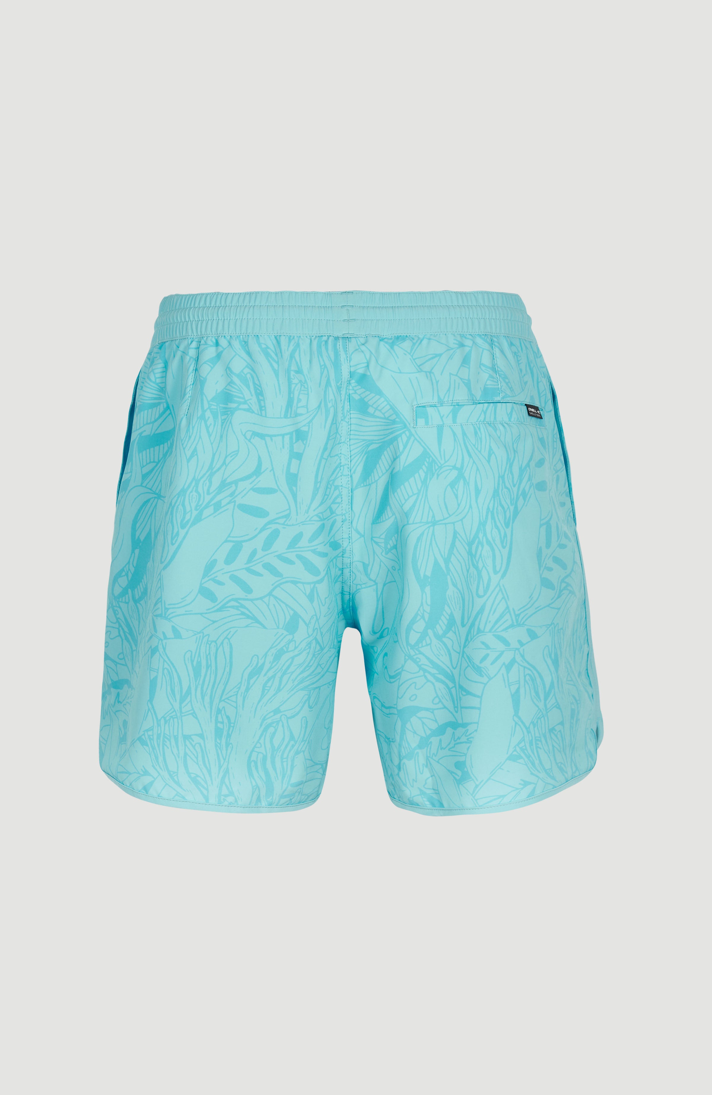 SCALLOP OCEAN 16'' VOLLEY