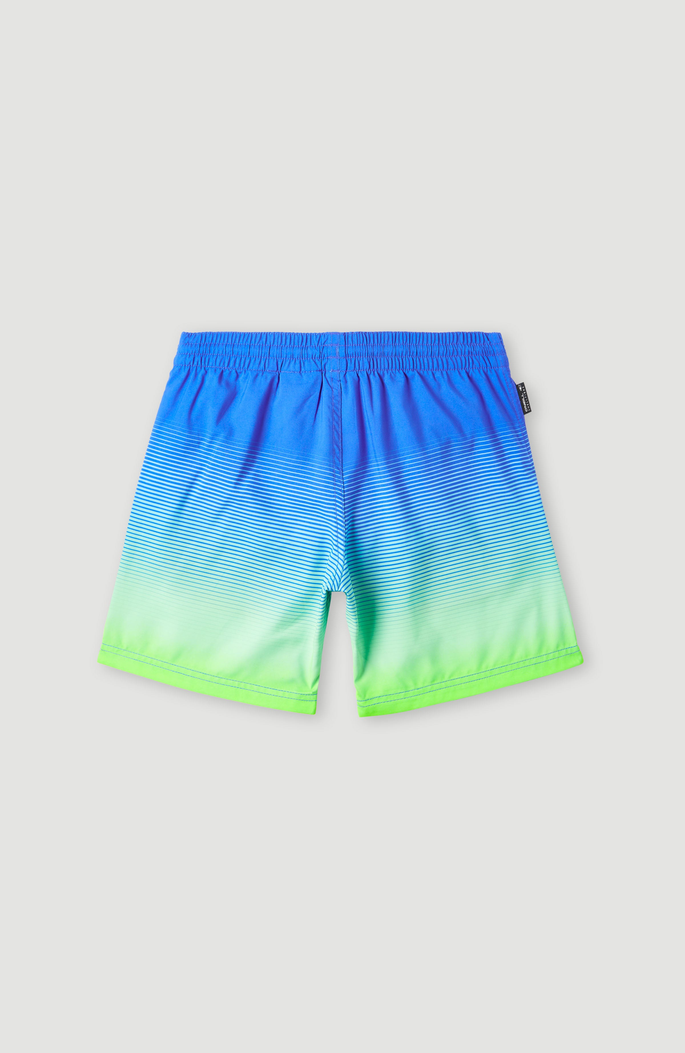 CALI GRADIENT 14'' VOLLEY
