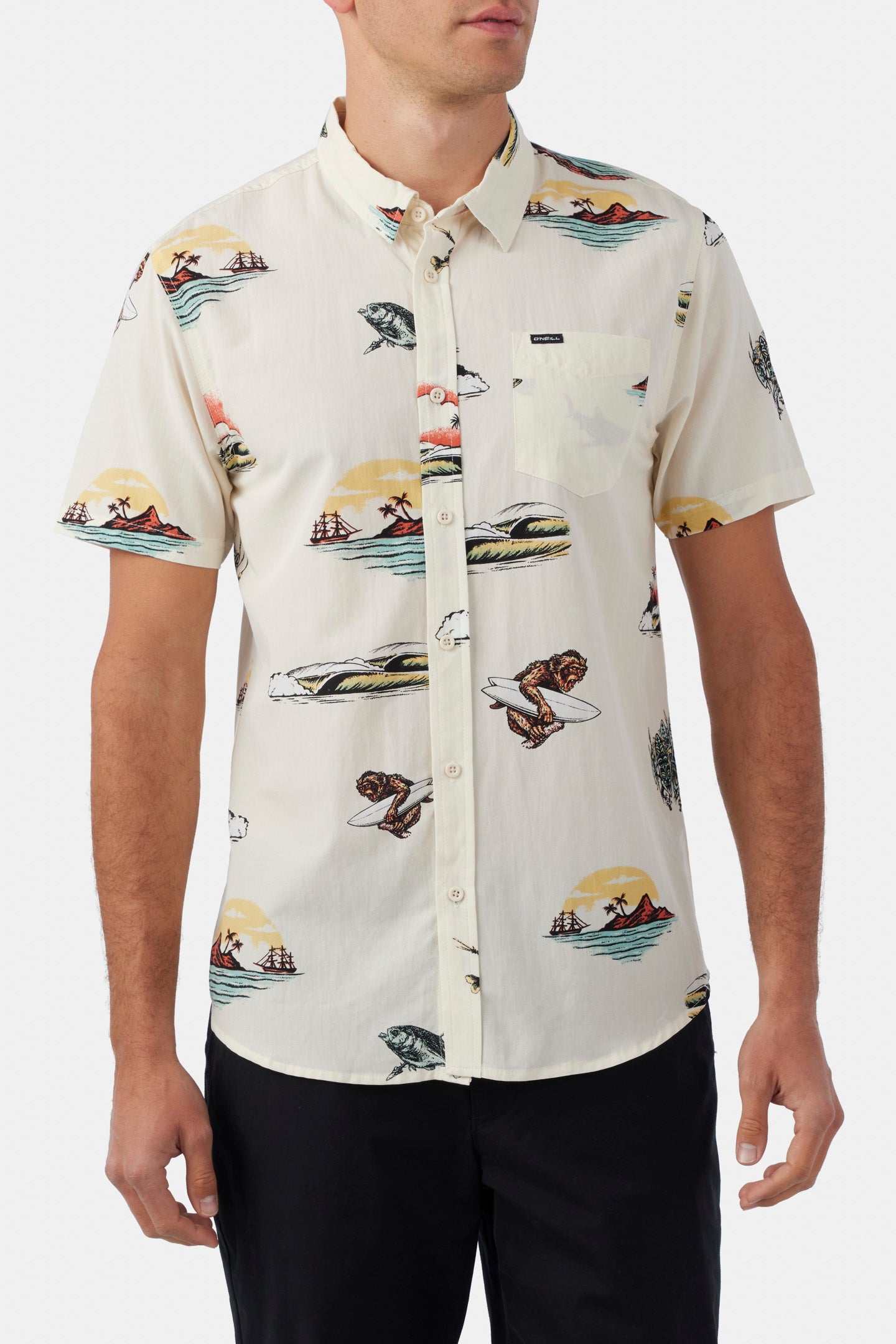 ARTIST SERIES OASIS ECO WOVEN