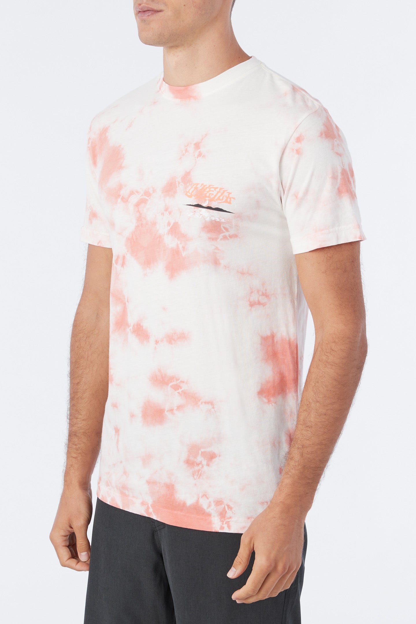HIGHPOINT ARTIST SERIES TEE