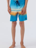 HYPERFREAK HEAT STRIPE LINE 16'' BOARDSHORT