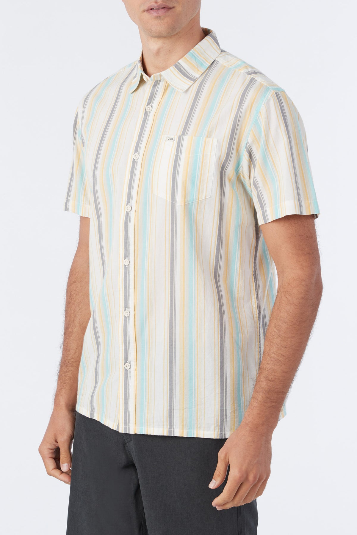 OG ECO STRIPE SS STANDARD SHIRT